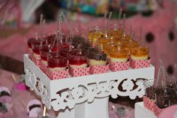 /album/galeria-de-fotos-pagina-inicial/buffet6-jpg/