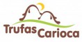 /album/galeria-de-fotos-buffet-trufas-carioca/trufas1-jpg1/